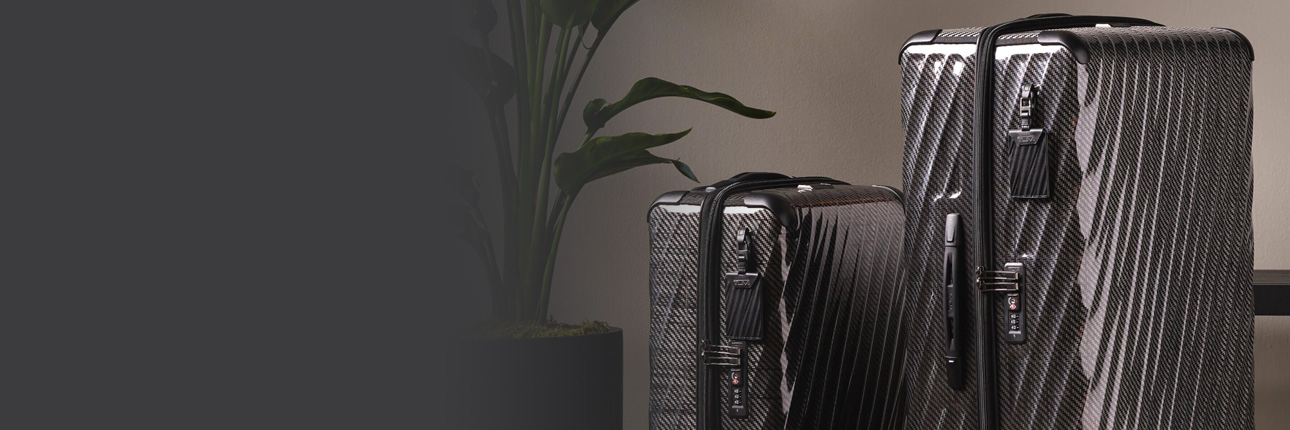 Check-In Luggage