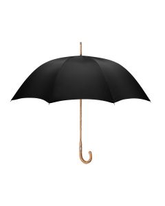 Swaine Adeney Brigg Hickory Umbrella