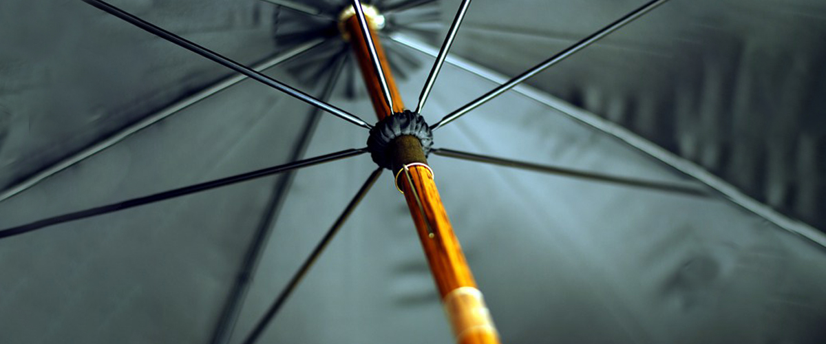 BH featured in Hogtown Rake!